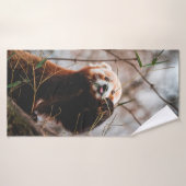 CUTE KOALA BEAR (Serviette de bain)