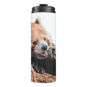 CUTE KOALA BEER FAMILIE THERMOSBEKER