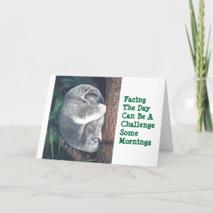 CUTE KOALA BEER IN BOE/HUMOR/FRIENDSHIP KAART