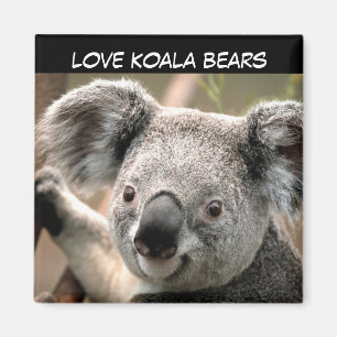 Cute Koala Beer Magneet