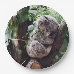 Cute Koala Beer ontspannend in een boom Papieren Bordje