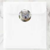 Cute Koala Beer Ronde Sticker (Tas)