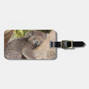 Cute Koala Beer rust op een boom Bagagelabel