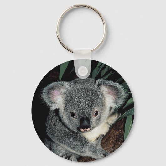 Cute Koala Beer Sleutelhanger (Voorkant)