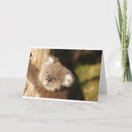 Cute Koala Beerfeest Verjaardag Kaart