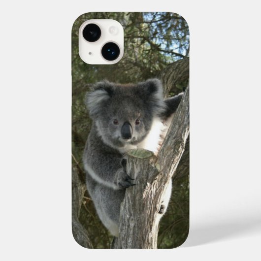 Cute Koala Beklimt een boomfoto Case-Mate iPhone Case (Achterkant)