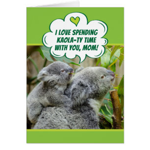 Cute Koala Beren die kwaliteitstijd samen doorbren