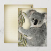 Cute Koala Briefkaart (Voorkant / Achterkant)