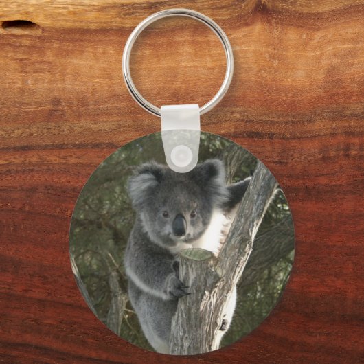 Cute Koala Climbing a Tree Sleutelhanger (Voorkant)
