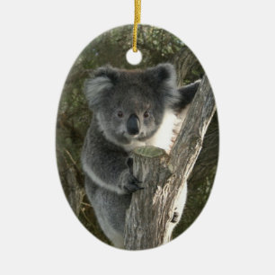 Cute Koala die een boom beklimt Keramisch Ornament