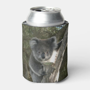 Cute Koala die een Koelbox van de boom beklimt Blikjeskoeler