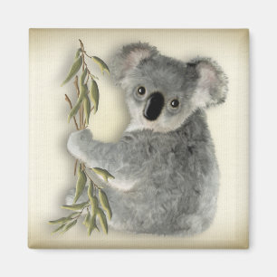 Cute Koala Magneet