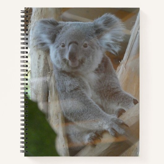 Cute Koala Notitieboek (Voorkant)