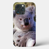 Cute Koala Ours Coque maté 4 Coque iphone (Verso)