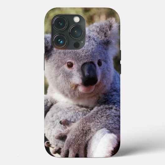 Cute Koala Ours Coque maté 4 Coque iphone (Verso)