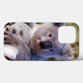 Cute Koala Ours Coque maté 4 Coque iphone (Verso (horizontal))