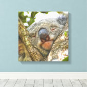 Cute Koala Ours Enveloppé Toile (Insitu (Plancher de Bois))