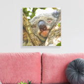 Cute Koala Ours Enveloppé Toile (Insitu(Salon))