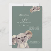 Cute Koala Ours Sage Anniversaire Fête Invitation (Devant)