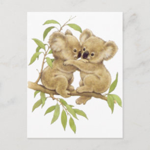 Cute Koalas Briefkaart