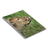 CUTE KOE NOTITIEBOEK (Rechterzijde)