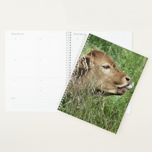 CUTE KOE PLANNER (Display)