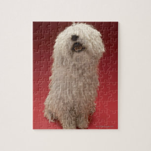 Cute Komondor Dog Legpuzzel