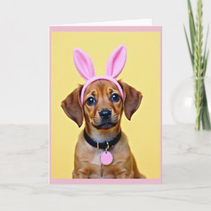 Cute Konijn Oor Kaart voor Hond