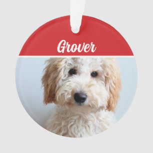 Cute Labradoodle Chien Fête de Noël Photo