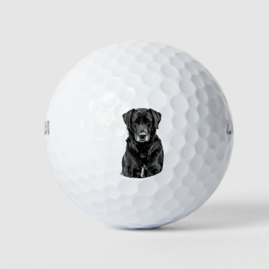 Cute Labrador Black Dog Puppy Pet Sketch Golfballen (Voorkant)