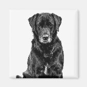 Cute Labrador Black Dog Puppy Pet Sketch Magneet (Voorkant)