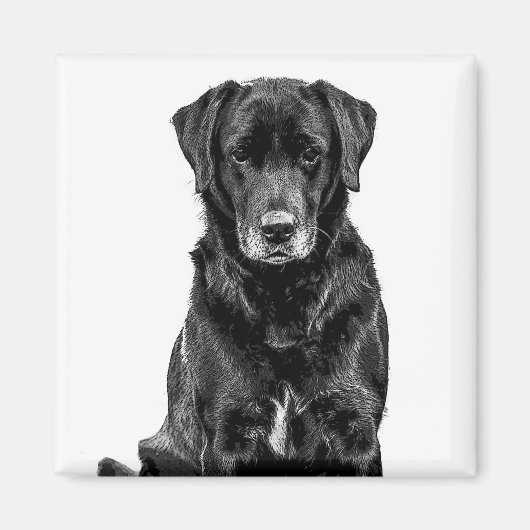 Cute Labrador Black Dog Puppy Pet Sketch Magneet (Voorkant)