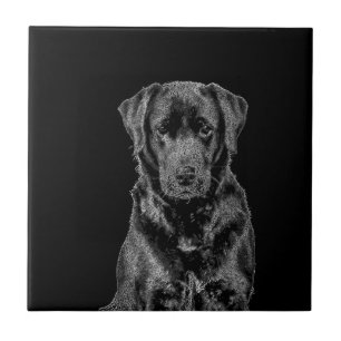 Cute Labrador Black Dog Puppy Pet Sketch Tegeltje