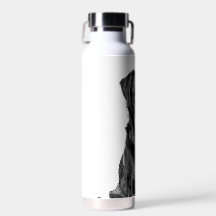 Cute Labrador Black Dog Puppy Pet