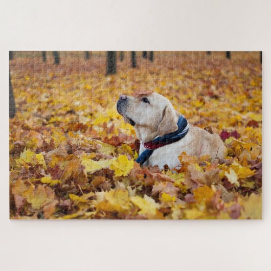 Cute Labrador Dog in Fall Leaves Legpuzzel (Horizontaal)