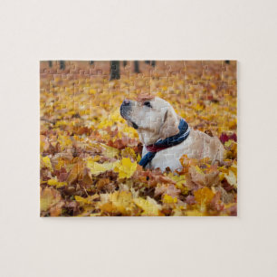 Cute Labrador Dog in Fall Leaves Legpuzzel