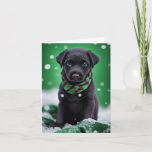 Cute Labrador Puppy in een Green Winter Scarf Kaart