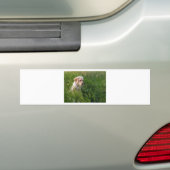 Cute Labrador Puppy in Grass Bumpersticker (Op auto)
