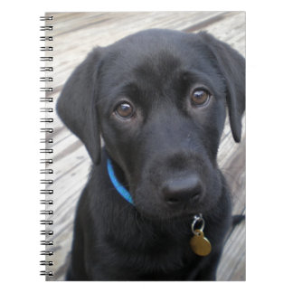 Cute labs notitieboek