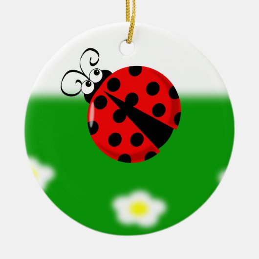 Cute Ladybird Ornament (Voorkant)