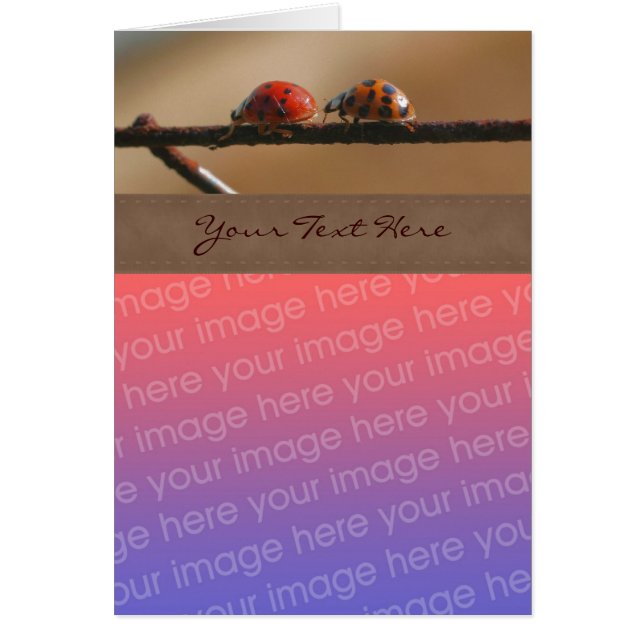 Cute Ladybug Paar Natuur Uw Fotokaart (Voorkant)