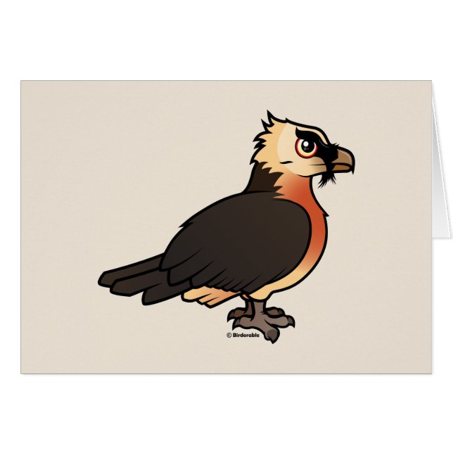 Cute Lammergeier (Voorkant Horizontaal)