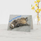 Cute Lazy Cat krijgt goed Kaart (Gele Bloem)