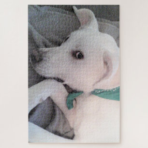 Cute Lazy White Dog Wearing Green Scarf Legpuzzel