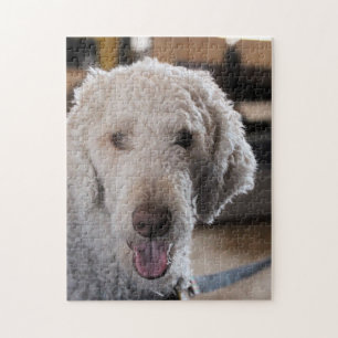 Cute Legpuzzel