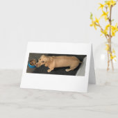 Cute Let's Do Lunch Dachshund Kaart (Gele Bloem)