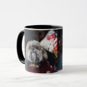 Cute lhasa apso puppy met kerstmis b mok (Voorkant links)