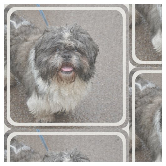 Cute Lhasa Apso Stof (Close Up)