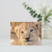 Cute Lion Cub Briefkaart (Staand voorkant)