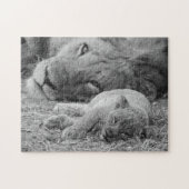 Cute Lion Cub Resting with Father Legpuzzel (Horizontaal)